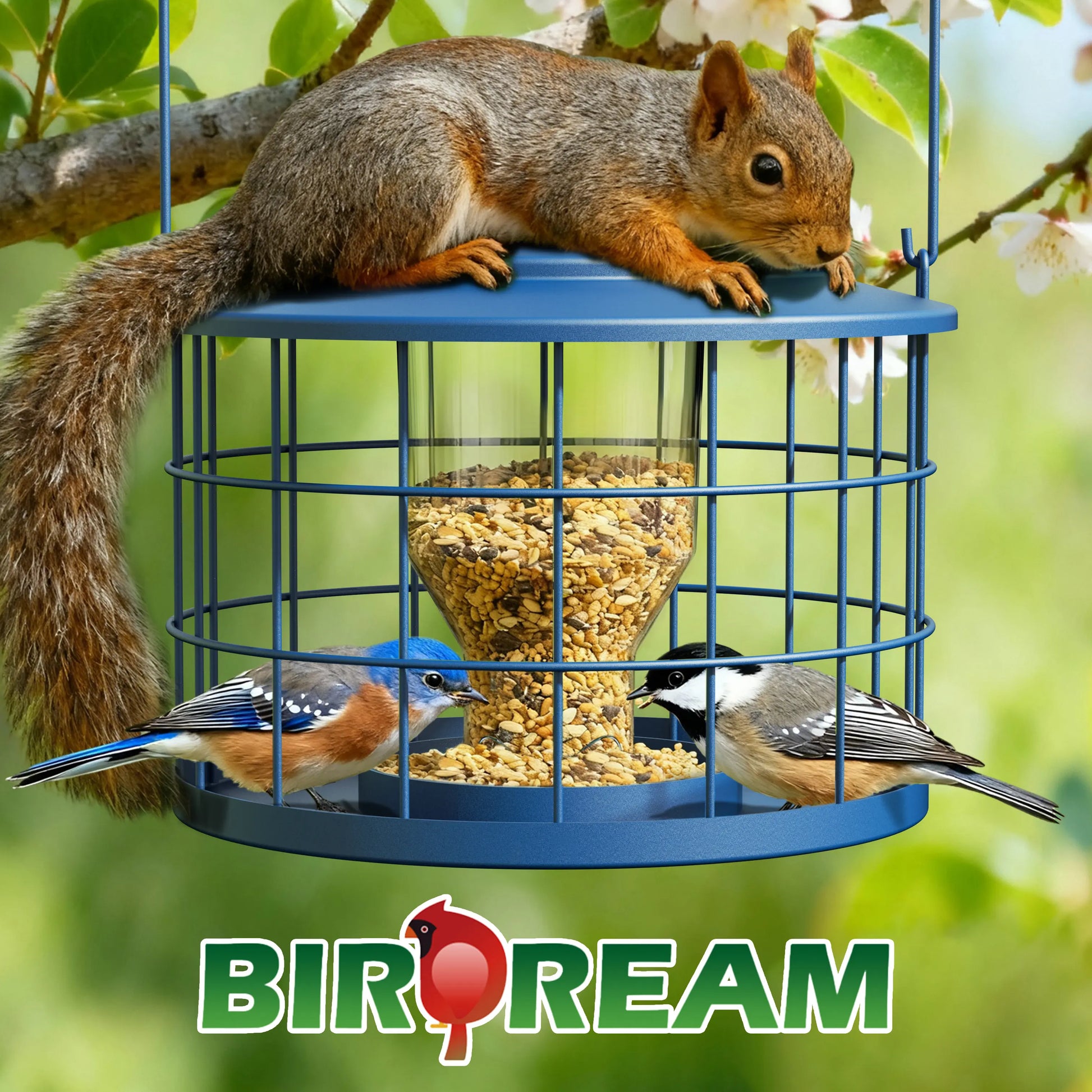 Birdream Squirrel-Proof Bird Feeder for Outdoors, Metal Cage Design for Small Birds, Helps Deter Starlings, Drainage Holes, Easy to Refill