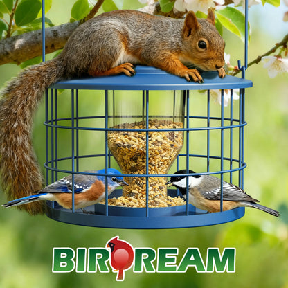Birdream Squirrel-Proof Bird Feeder for Outdoors, Metal Cage Design for Small Birds, Helps Deter Starlings, Drainage Holes, Easy to Refill
