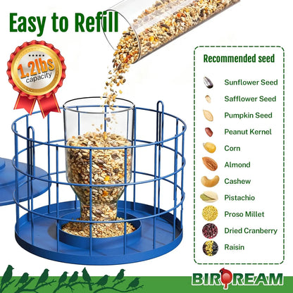 Birdream Squirrel-Proof Bird Feeder for Outdoors, Metal Cage Design for Small Birds, Helps Deter Starlings, Drainage Holes, Easy to Refill