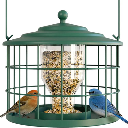 Birdream Squirrel-Proof Bird Feeder for Outdoors, Metal Cage Design for Small Birds, Helps Deter Starlings, Drainage Holes, Easy to Refill