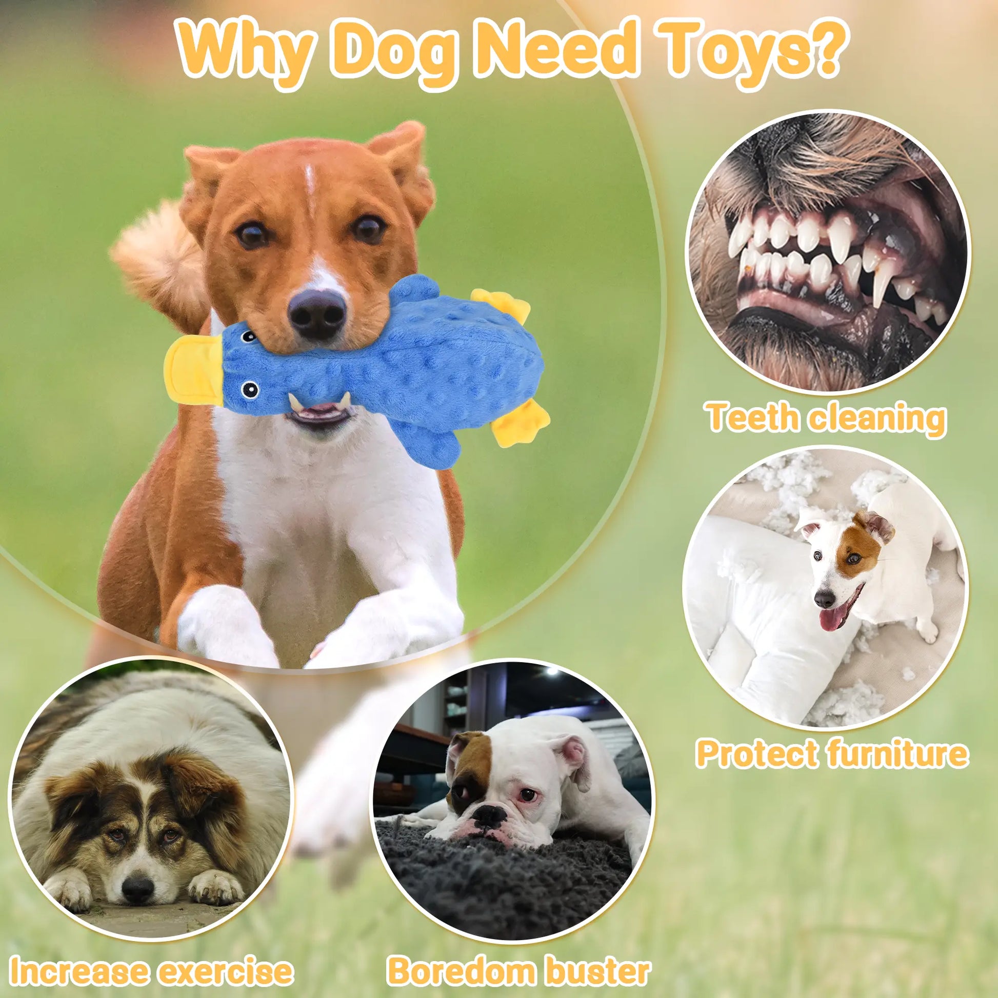 LECHONG 5 Pack No Stuffing Dog Toys Squeaky Toys for Large Medium Small Dogs Cute Animal Print Toys Not for Aggressive Chewers